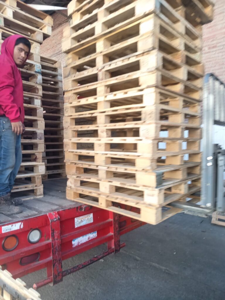 whatsapp image 2026 02 01 at 7.22.25 pm (1)