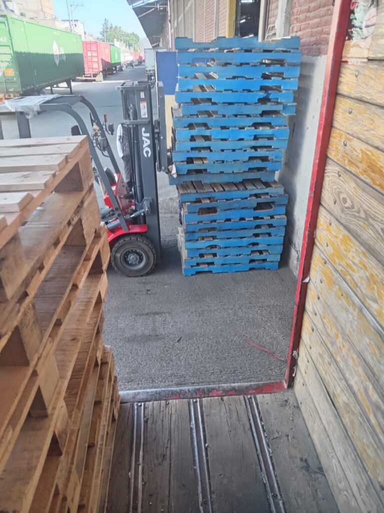 whatsapp image 2026 02 01 at 7.22.25 pm