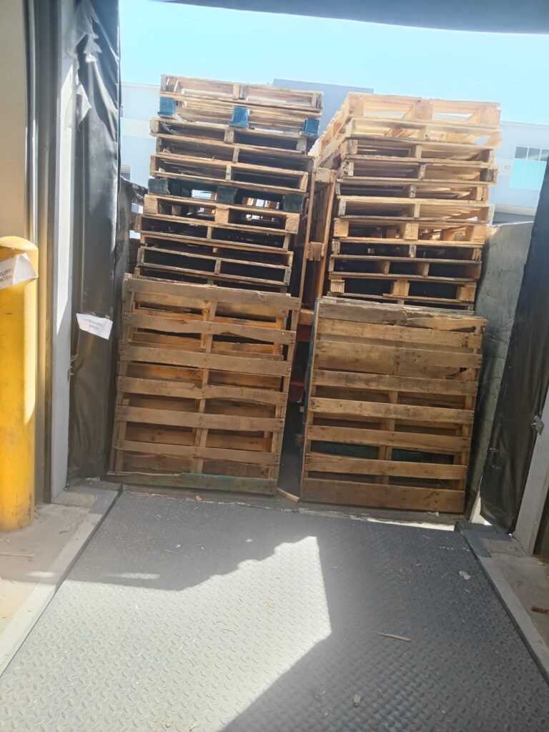 whatsapp image 2026 02 01 at 7.22.27 pm